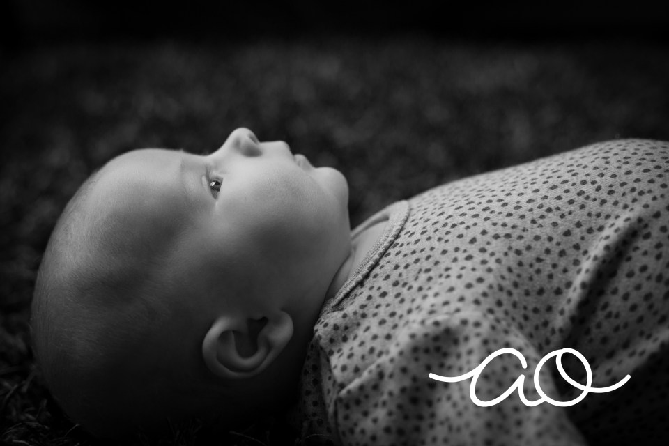 family portrait stockport