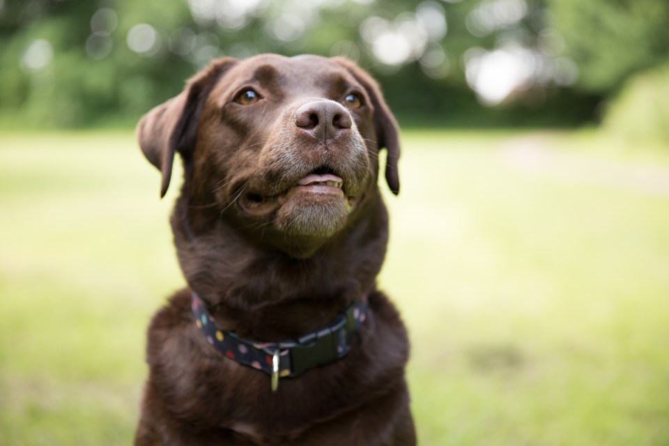 photographer stockport
